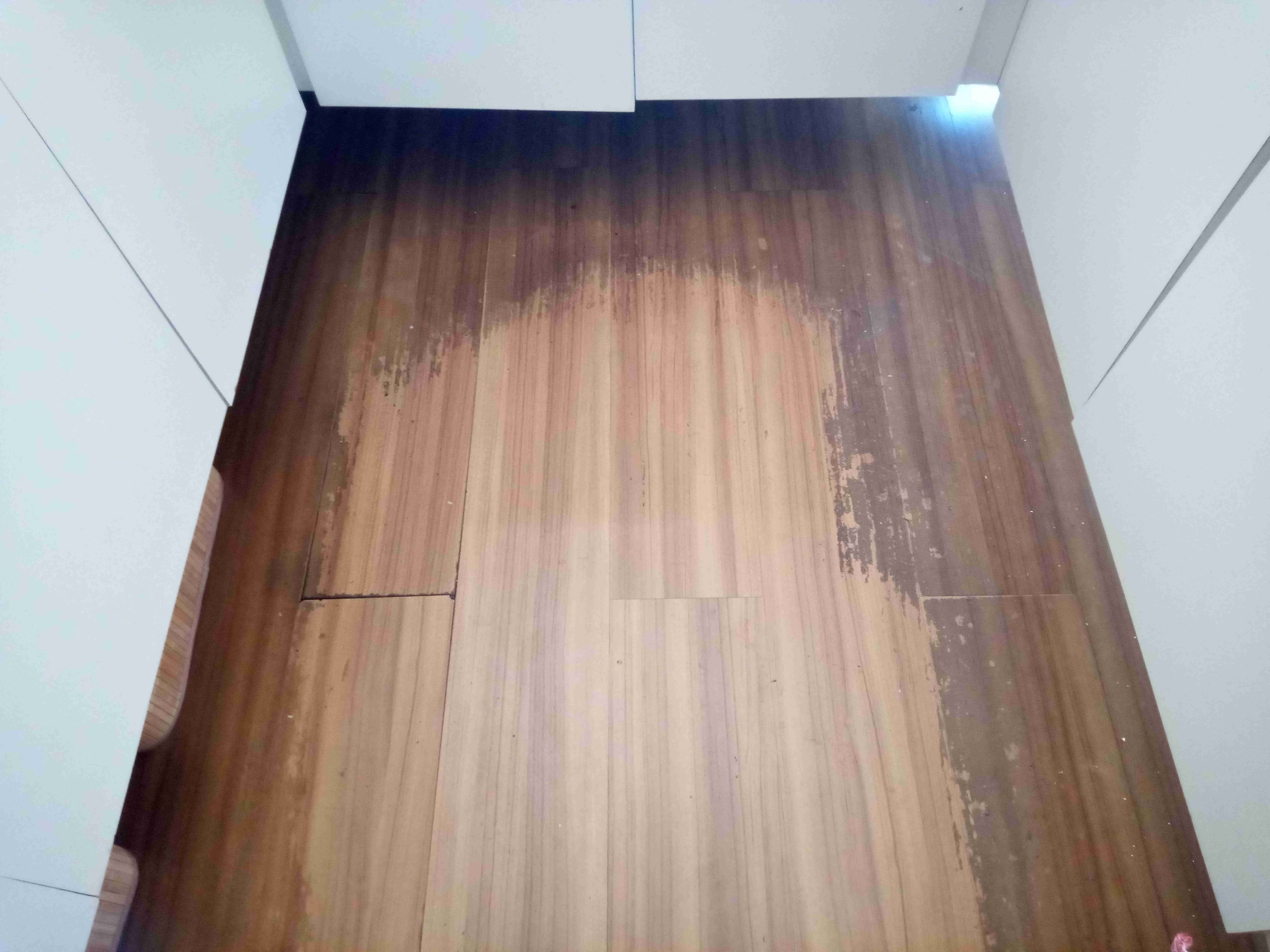 Raspagem Sem Pó em Pisos de Madeira