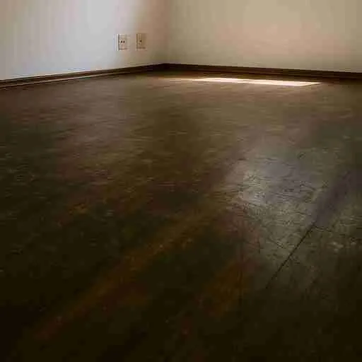 Remoção de Cera em Piso Anália Franco